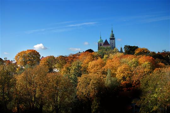 jandova chalupa k pronájmu - jihlava