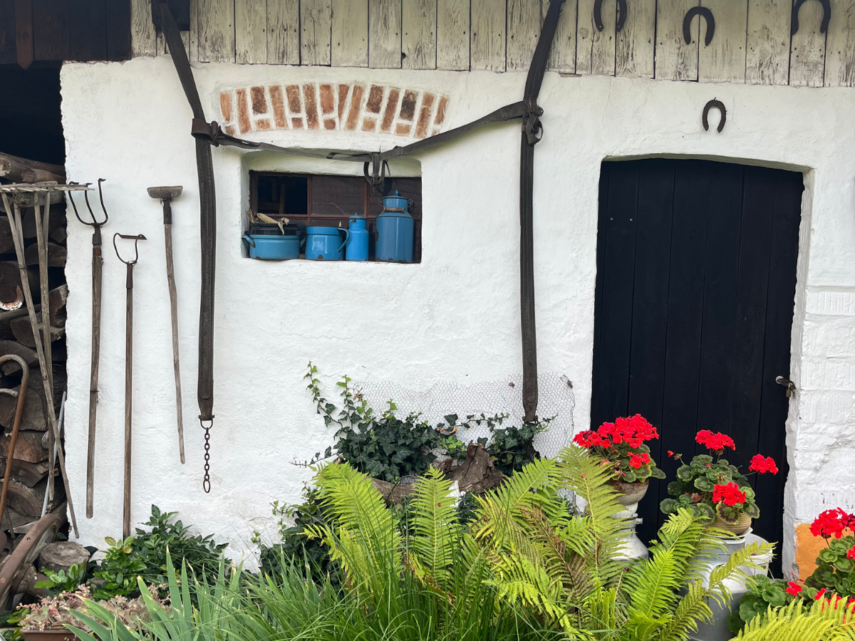 Dispozice a&nbsp;místnosti