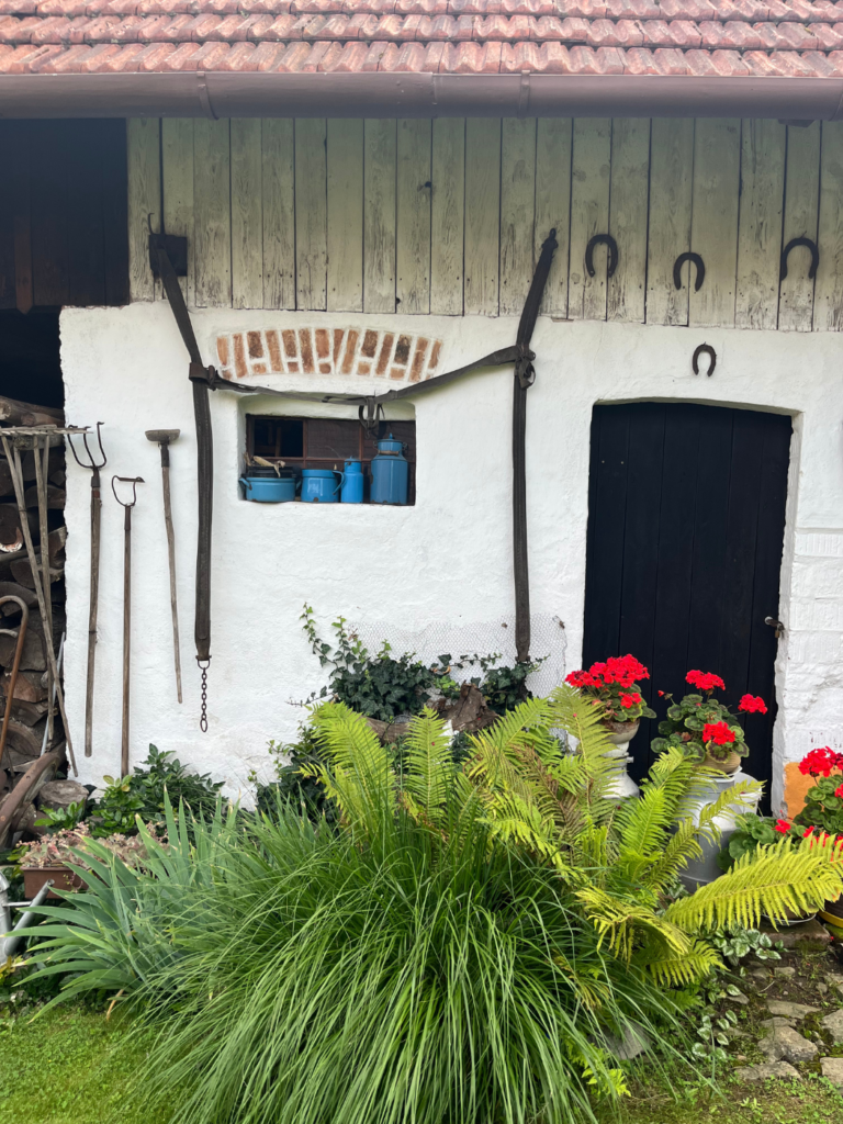 Jandova Chalupa na Vysočině