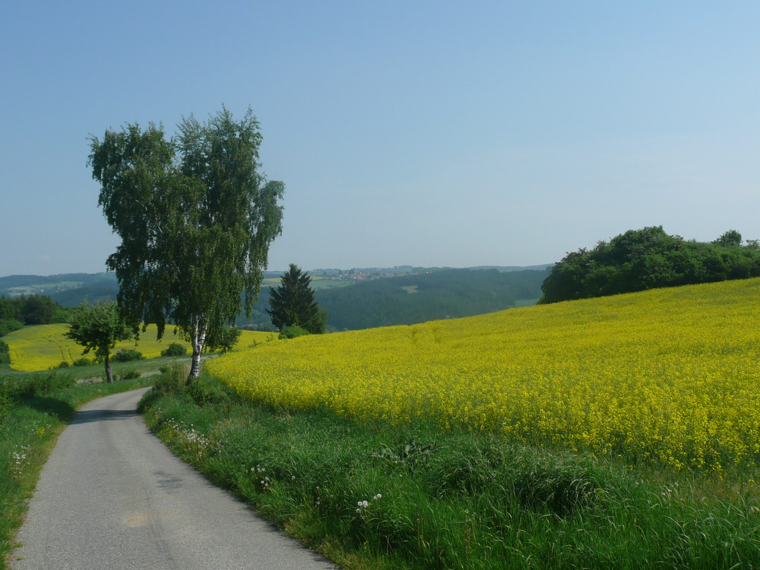 CYKLOSTEZKA Jihlava-Třebíč-Raabs